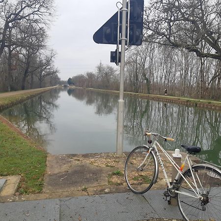 Maison De Famille Avec Parc Arbore Montauban Eksteriør bilde