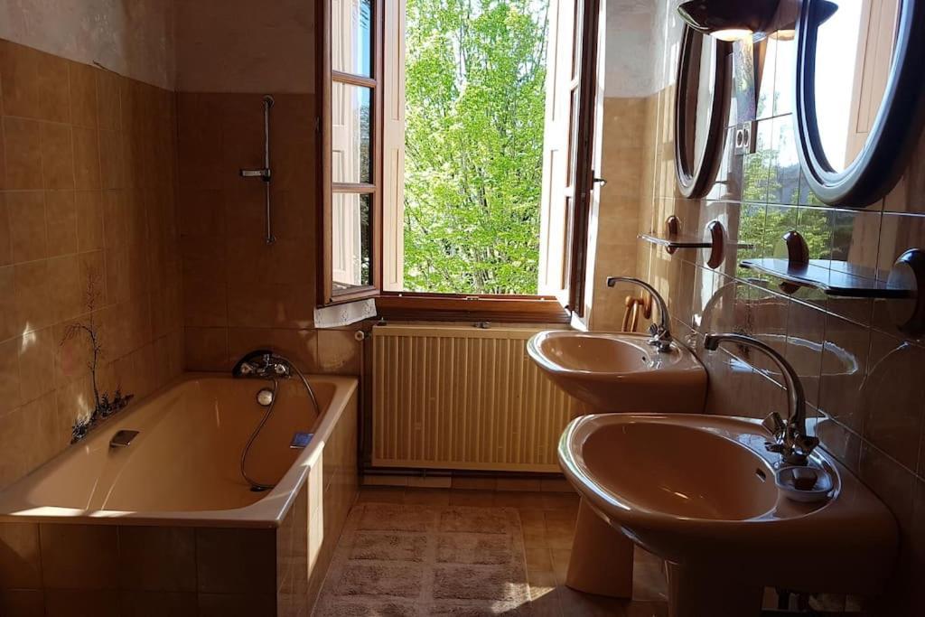 Maison De Famille Avec Parc Arbore Montauban Eksteriør bilde