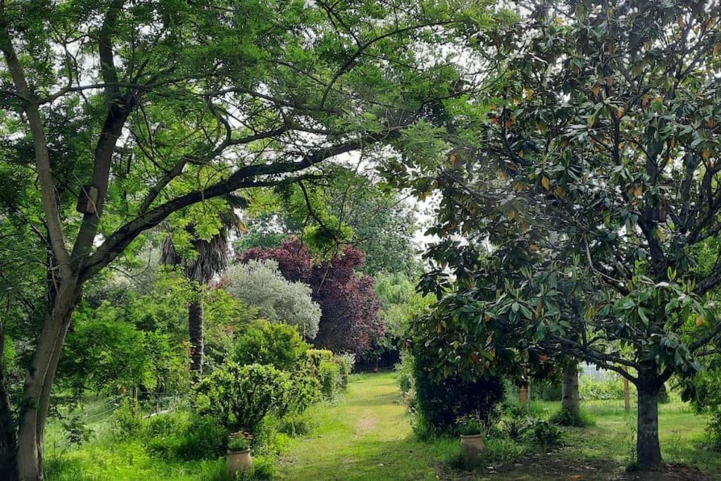Maison De Famille Avec Parc Arbore Montauban Eksteriør bilde
